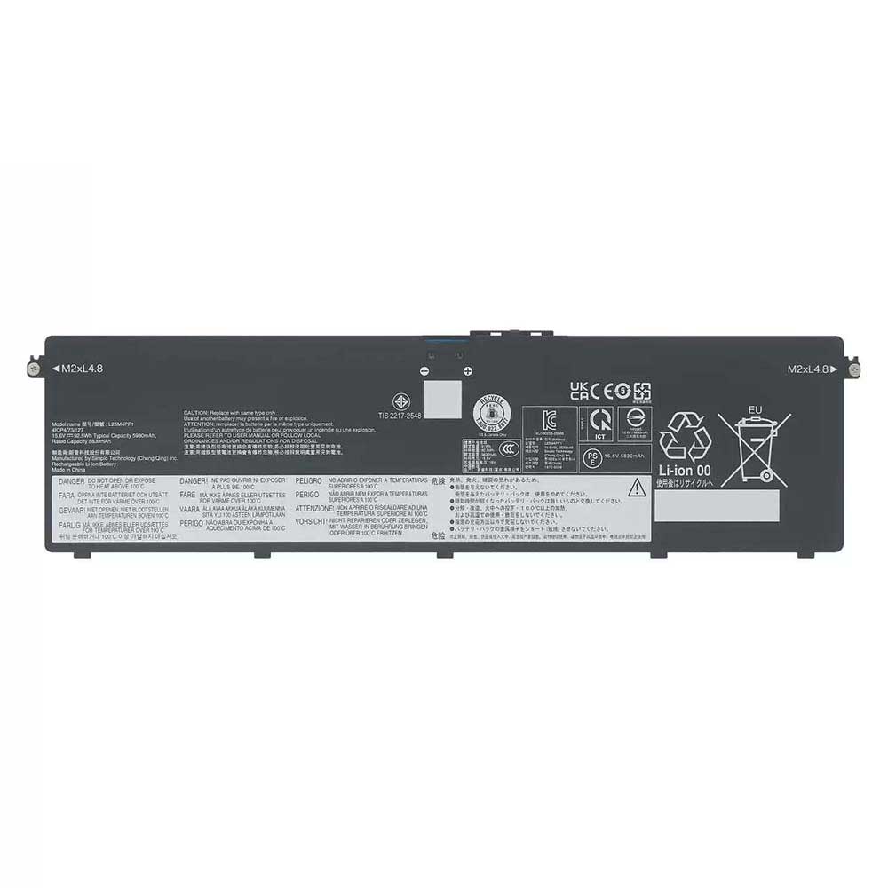 LENOVO L25M4PF1