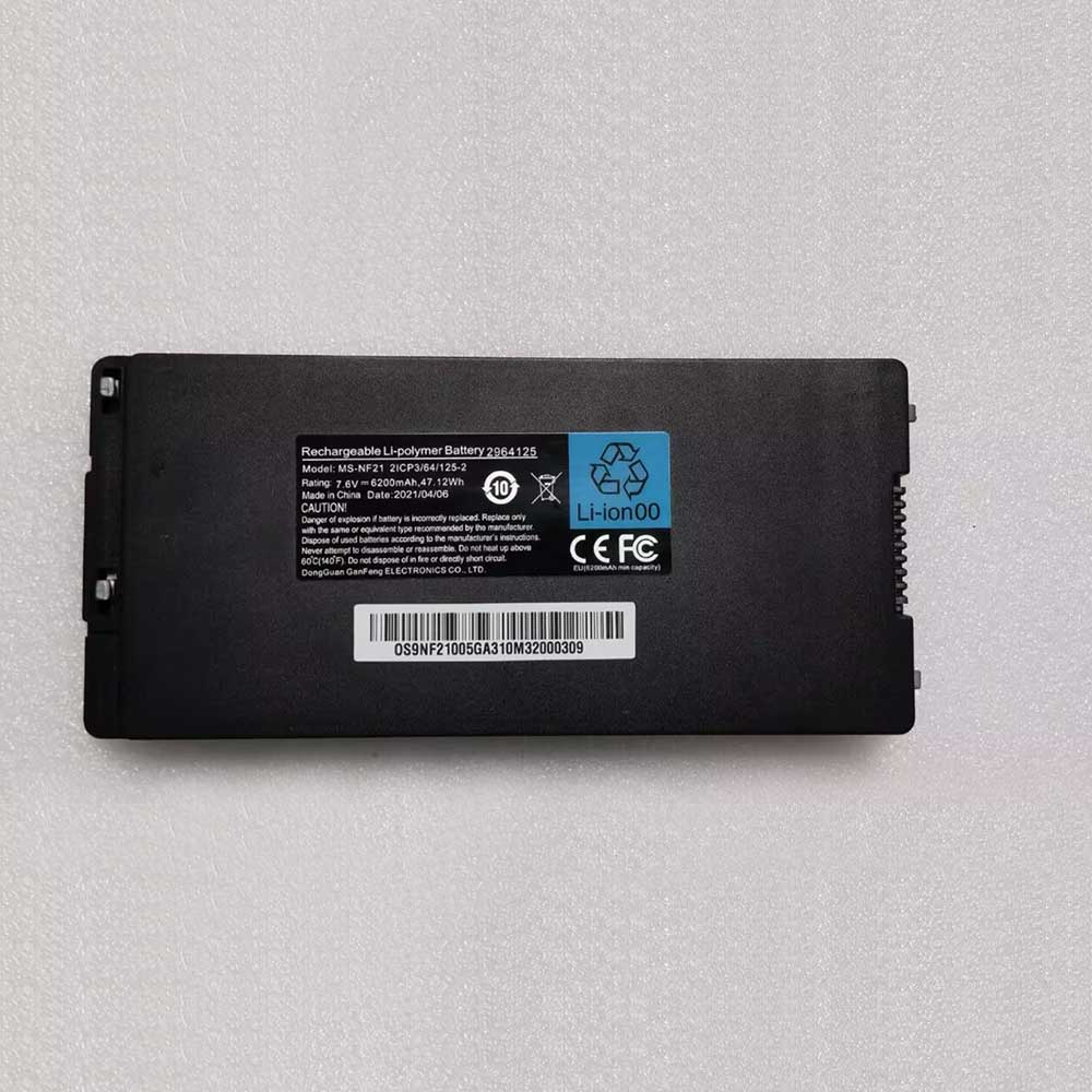 GFL MS-NF21-2ICP3 Akku