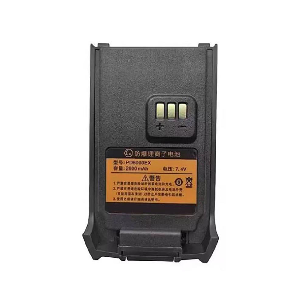 HAIWANG STAR PD6000EX