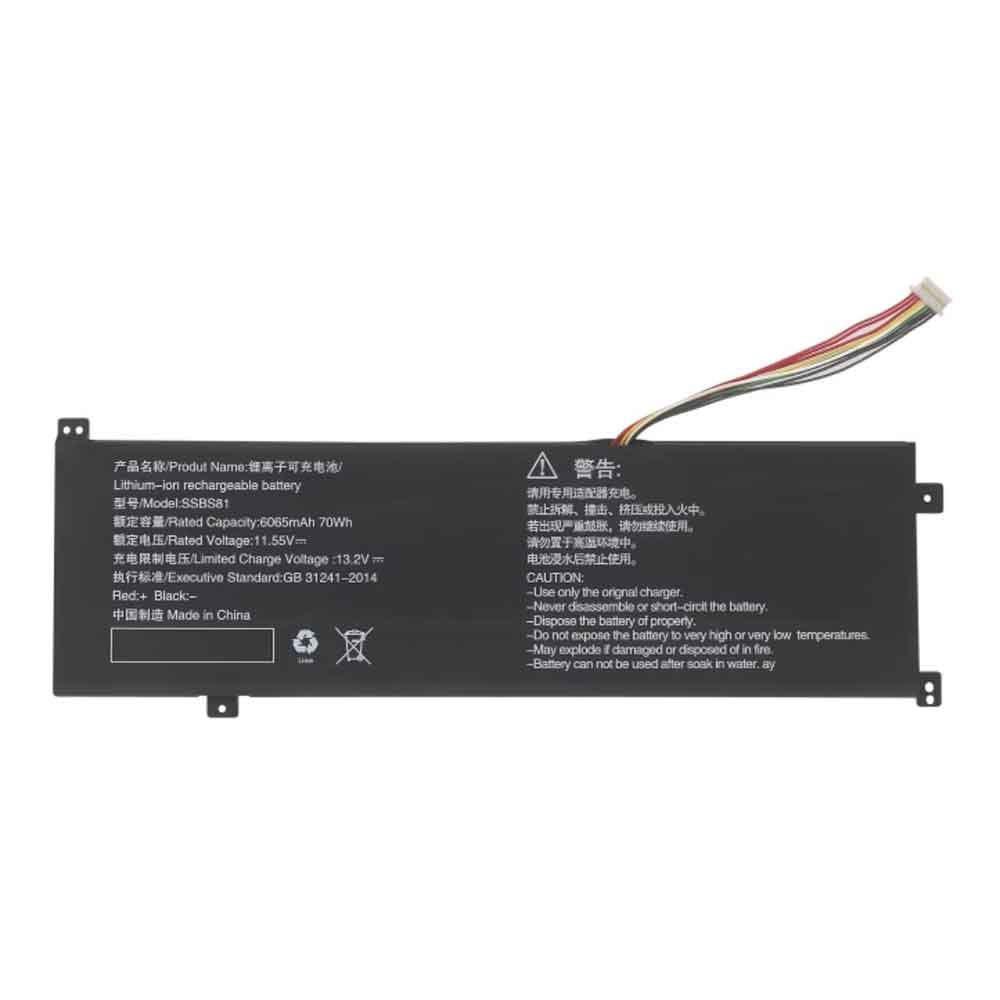 SSBS81