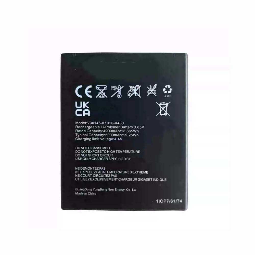 V30145-K1310-X480